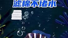 滤棉老是堵水的鱼友可以看一下我这款滤棉搭配,锦鲤鱼用了都不堵的搭配#水族 #观赏鱼 #过滤棉 #6d