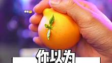 你以为我拿的是桔子?