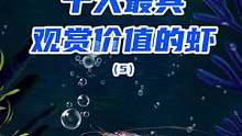 到这里就是我所收集的最好看的10大观赏虾，鱼友们还有什么好看的推荐#虎纹虾 #红鼻枪虾 #水族 #水