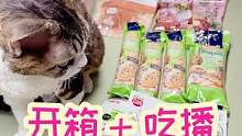 开箱把嘿嘿开吃醋了，那今日吃播必须给它安排了 #养鼠日常分享 #joyce养猫日常