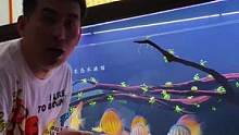 求救…….！养鱼人告诉她是不是十块三条！！！这鱼可便宜了#养鱼日记 #水族 #南美缸