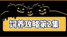 #爬宠日常 #豹纹守宫  豹纹守宫饲养攻略第2集 环境选择