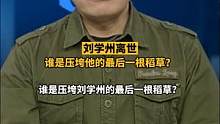 #dv短评 #刘学州去世 谁是压垮他的最后一根稻草？#再不见夜里听歌的小孩 #大v快评 #河北寻亲男