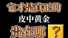 皮中黄金，寸皮寸金，说的就是它！