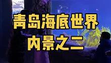 青岛海底世界，刚推出的9.9的儿童票和38.8的虎年票，还有不限次数的年卡，均遭到疯抢，团购活动随时