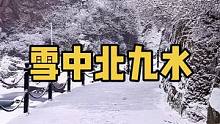 下雪天的北九水，随手一拍都是养眼又养心的美片#旅游 #旅行 #旅行推荐官