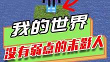 我的世界：脑洞大开的实验，没有弱点的末影人？末地世界种树