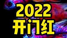 #非洲 #宠物 #水族 #三湖慈鲷 #观赏鱼 #热带鱼 #养鱼日记 #神奇动物在抖音 红色三湖慈鲷大