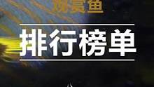 小型猛鱼战斗力排行榜【下】猜猜明天更新啥。绝对惊艳#观赏鱼 #水族 #小型观赏鱼战斗力排行 
