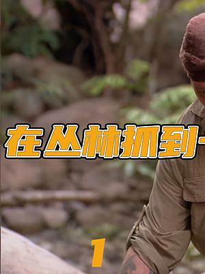 生存1+1：迷失雨林【第1集】 戴夫喜欢上了喝恒河水  #STAR计划   #上西瓜看纪录片 
