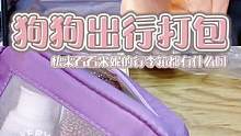 过年带狗回家到底要带多少东西！ #养宠进阶指南 #萌宠好物 #养宠物到底有多氪金 #原声打包视频 #
