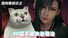 游戏梗知识：3D区不能没有蒂法，就像西方不能失去耶路撒冷