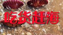 大海退潮抓海鲜今天收获不错 