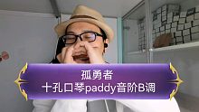 【十孔口琴 paddy音阶B调】演奏 孤勇者