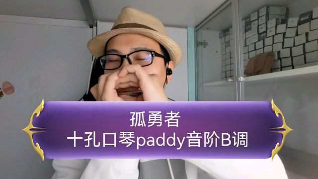 【十孔口琴 paddy音阶b调】演奏 孤勇者