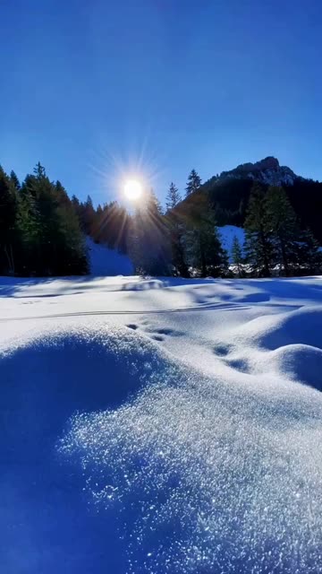 太阳温暖了雪,雪滋润了大地