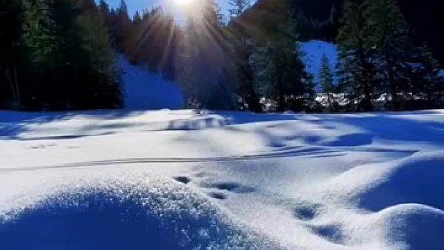 太阳温暖了雪,雪滋润了大地#回家路上的雪景#大自然的美丽景色