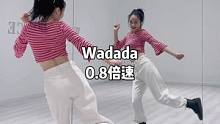 #wadada 0.8倍速分解#舞蹈镜面分解教学