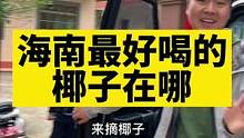 海南最好喝的椰子在文昌#vlog旅行记 #房车旅行 #记录真实生活 #拖挂房车 #房车生活