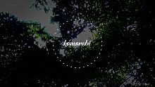 komorebi - Ambient Piano Music