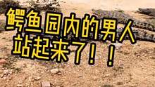 #鳄珍 #鳄珍鳄鱼园 #鳄鱼皮具 #xz  男人的尊严