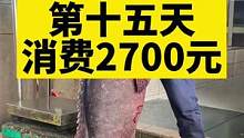 第一次买50多斤的海鱼，大家来湛江的时候，一定不要错过龙趸鱼#海鲜原产地 #记录真实生活 #房车旅行