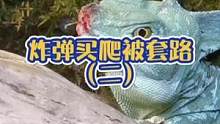 炸弹买爬被套路第二集，视频没了重发#爬宠 #蜥蜴 #双冠蜥蜴 