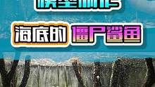 模型制作：海底惊现神秘僵尸鲨鱼，竟然是海底霸王？ #泥塑 #手办 #模型 #diy #粘土
