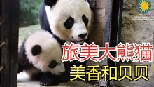 旅美大熊猫美香和贝贝母子（老视频）