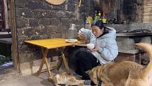 屋外天寒地冻，女子独居山里一人一狗，铁锅煮青菜跟猫狗分着吃