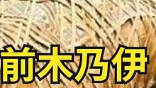 木乃伊腹中惊现胎儿，木乃伊有百万之多，竟被欧洲吃成珍惜文物？ #文物 #考古发现 #科技科普 #木乃