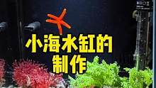 小海水缸的制作#frank的私人水族馆 #海水缸 