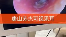 #可视采耳