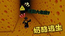 Roblox奶酪逃生：我在奶酪迷宫里竟然遇到一只超大耗子！