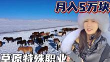 草原特殊职业“弼马温”：月收入5万养100匹马，无人牧区你愿意吗
