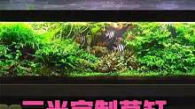 三米定制水草缸（完整版）#玻璃缸中的大自然 #水草缸 #水草造景 #草缸 #造景鱼缸 #南美缸 #养