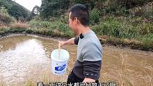 100元包下一口鱼塘小水坑，本以为要亏本了，没想到赚大了