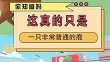 #好游快爆 #非常普通的鹿 蚌埠住了，重新定义普通#非常普通的鹿正版来了