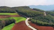 云南东川红土地#红土地 #东川红土地 