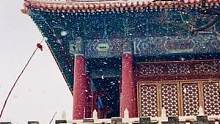 虎年第一场雪，北京一下就变成了北平#北京虎年第一场雪#北京