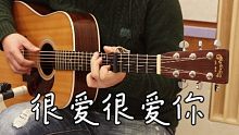 刘若英《很爱很爱你》吉他弹唱【附教学讲解】252