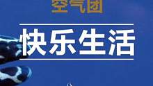 你们还知道啥鱼？嘿嘿嘿#水族 #观赏鱼 