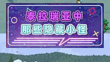 泰拉瑞亚中那些隐藏小怪