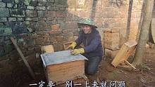 找到适合的养殖方式，今年要多做蜂巢蜜
