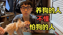 养狗的人永远不会懂，怕狗的人能有多怕狗