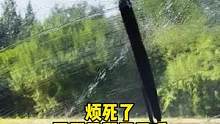 雨刷用久了刮不干净，自己动手换一换#汽车好物