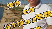 鳄鱼哥邀请粉丝来鳄鱼池游泳！#皮具 #农村生活 #源头工厂