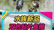 双色贴片鱼粮，算水族创新么？#养鱼 #水族 #观赏鱼 #鱼粮 #喂鱼 