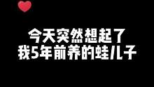 我震惊了！#旅行青蛙 #旅行青蛙还活着 #旅行青蛙竟然才一岁