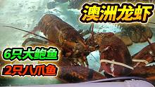 海鲜市场买回6只大鲍鱼，2只大螃蟹，类似外星生物的八爪鱼必须买